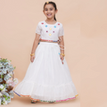 UC Embellished Lehenga and Top